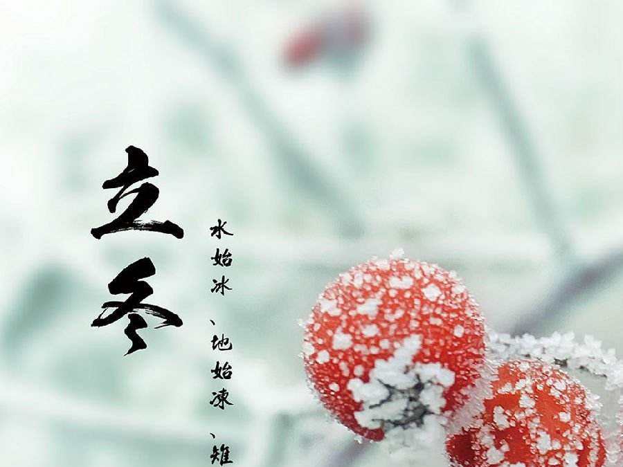 今日立冬，啟睿喊你吃餃子嘍